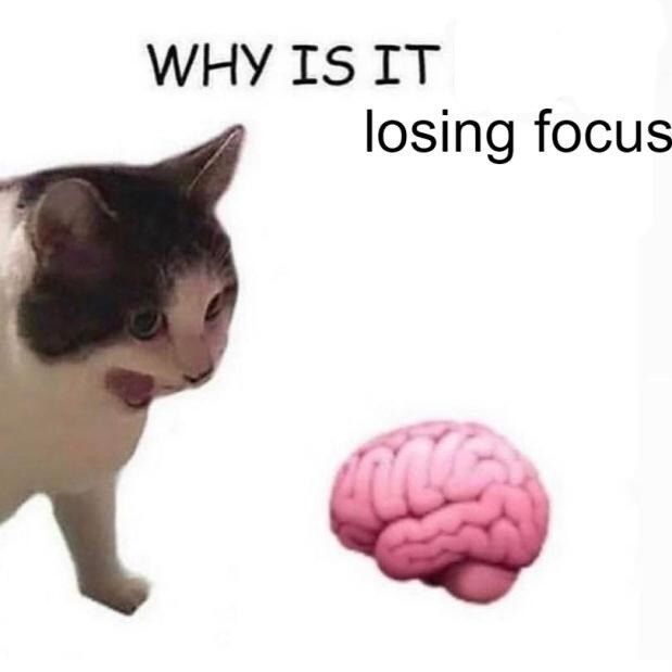 streamer_posts's tweet photo. https://t.co/PVNpKwIenI