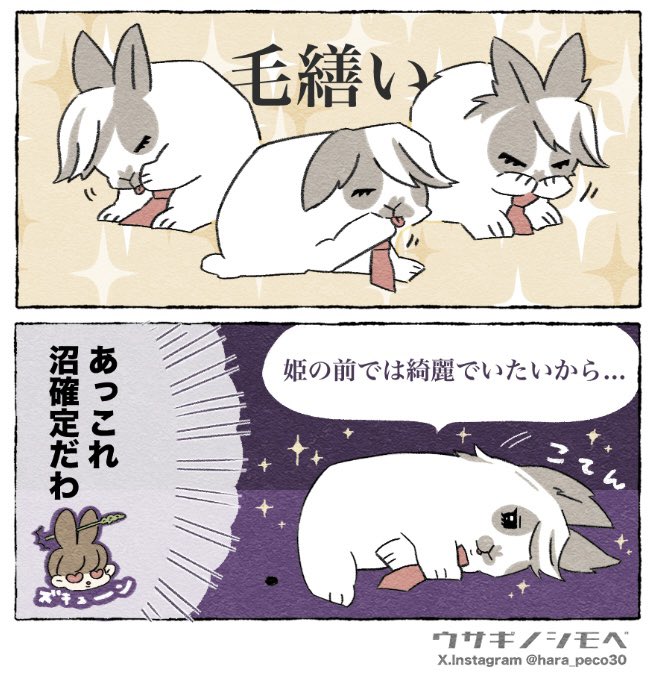 チビ太(CHIBITA🐰)のママ太 (@piccolocibi) / Posts / X