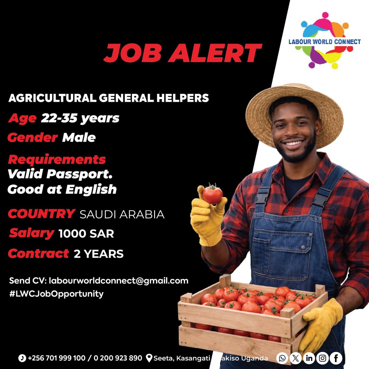 Drive your career forward under agricultural Sector! 

Our client is hiring general helpers , and we want to hear from you. Apply now through our agency via 📧 labourworldconnect@gmail.com by sharing your CV| #LWCJobOpportunity