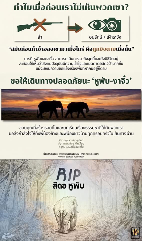 actinsama's tweet image. #หูพับ #สีดอหูพับ จากไปแล้ว แต่เพื่อนๆ น้องๆ ยังอยู่ และอยู่ในแผนถูกจับย้ายไปปรับพฤติกรรมด้วย

พื้นที่ประเทศออกจะกว้างใหญ่ แต่คนก็ยังรุกรานป่าเข้าไปเรื่อยๆ ทำลายที่อยู่ที่หากินของช้าง ทำให้เค้าต้องย้ายถิ่นฐาน ออกมาหากิน แล้วก็จะใช้วิธีคุมกำเนิด จับไปล่ามโซ่ขัง อ้างปรับพฤติกรรม 😔