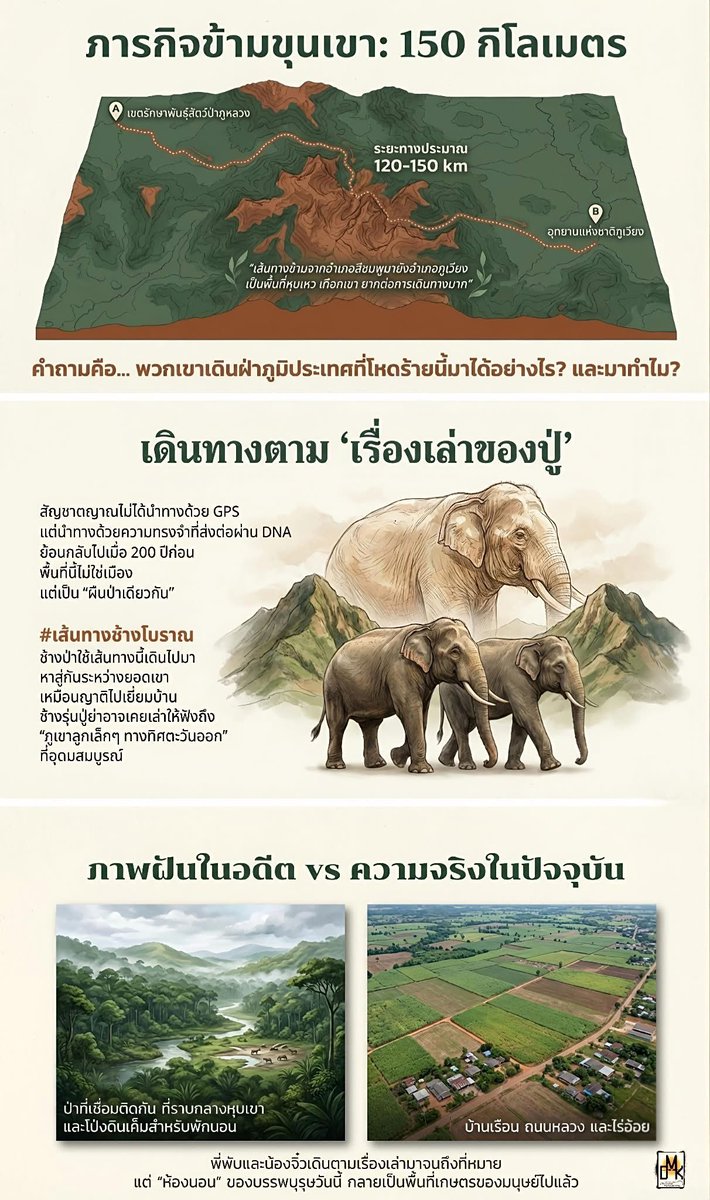 actinsama's tweet image. #หูพับ #สีดอหูพับ จากไปแล้ว แต่เพื่อนๆ น้องๆ ยังอยู่ และอยู่ในแผนถูกจับย้ายไปปรับพฤติกรรมด้วย

พื้นที่ประเทศออกจะกว้างใหญ่ แต่คนก็ยังรุกรานป่าเข้าไปเรื่อยๆ ทำลายที่อยู่ที่หากินของช้าง ทำให้เค้าต้องย้ายถิ่นฐาน ออกมาหากิน แล้วก็จะใช้วิธีคุมกำเนิด จับไปล่ามโซ่ขัง อ้างปรับพฤติกรรม 😔