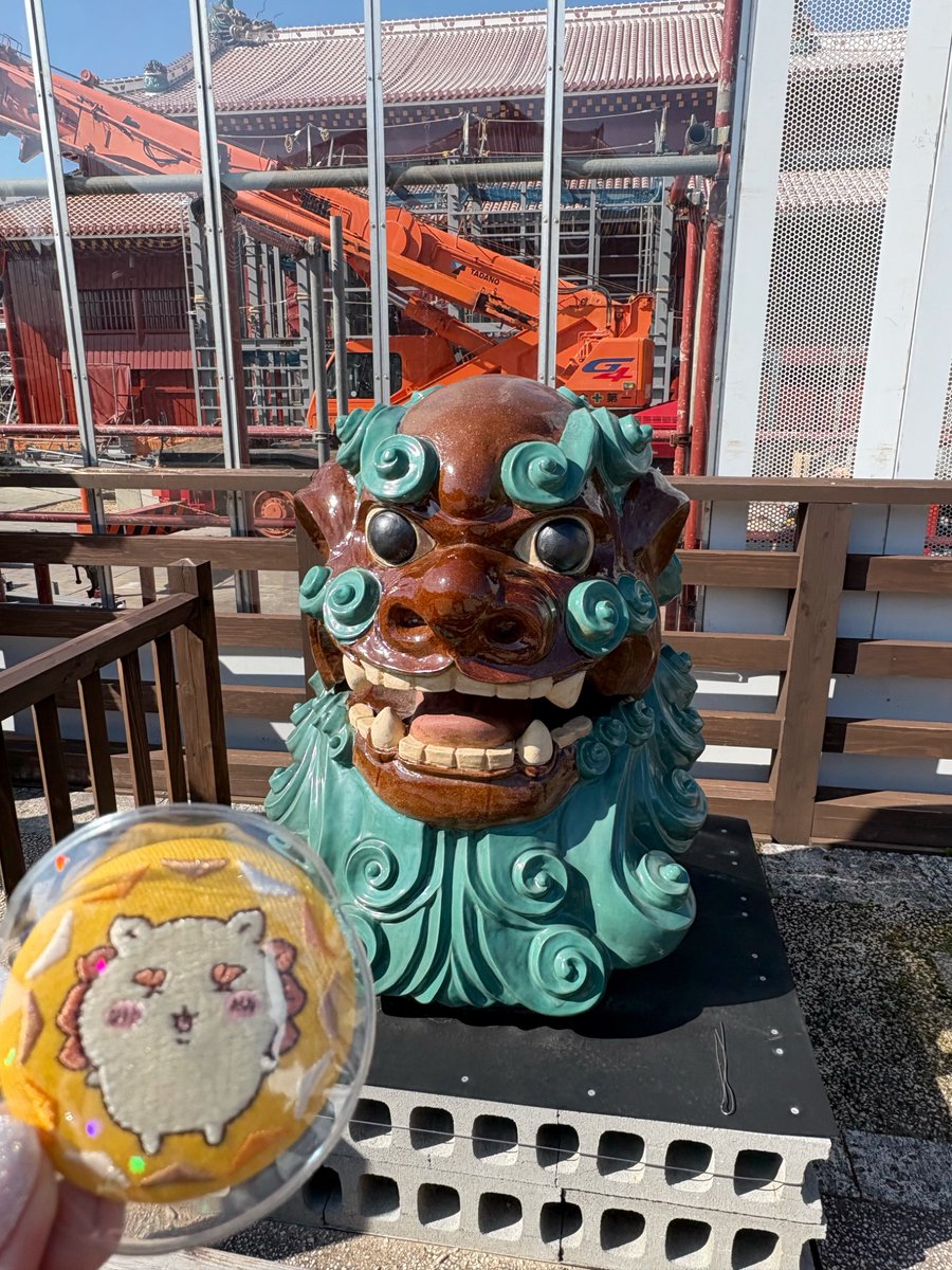 イノシシとシーサー シーサーちゃんといろんなシーサーを見た😁