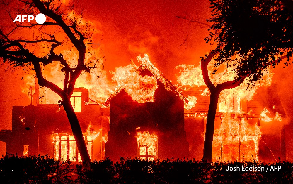 Pedro Ugarte tweet media