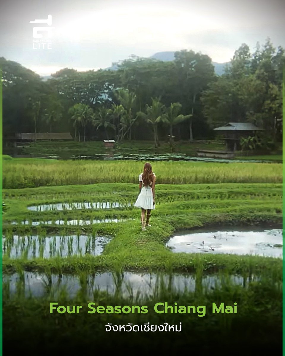 Sarakadee Lite tweet media