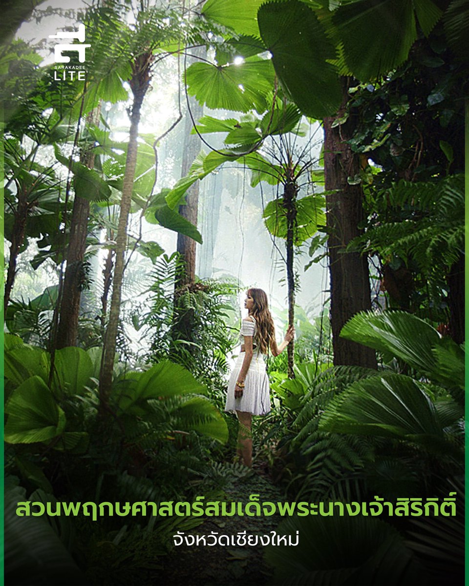 Sarakadee Lite tweet media