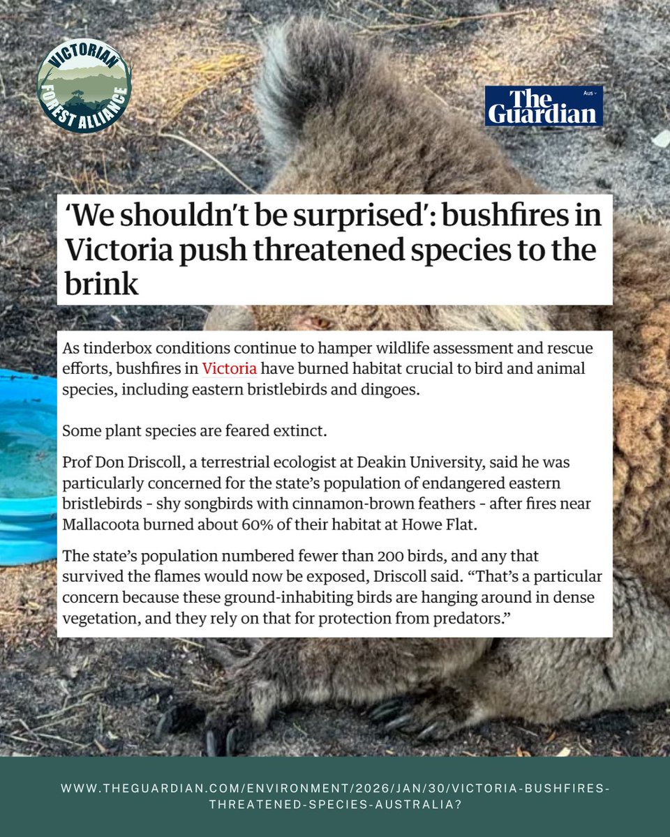 Victorian Forest Alliance tweet media