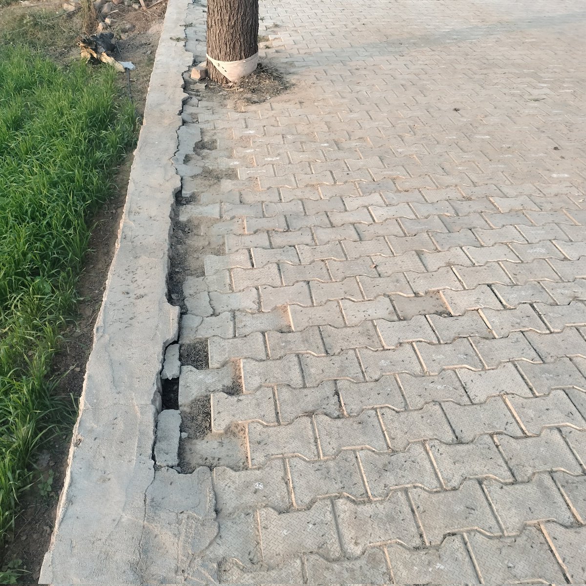 SunderChhimpa4's tweet photo. @cmohry ठेकेदार द्वारा बनाई गई गली छह महीने बैठ गई गांव bhodia khera bishnonian teh Mandi Adampur में https://t.co/LBNH8bgLqt