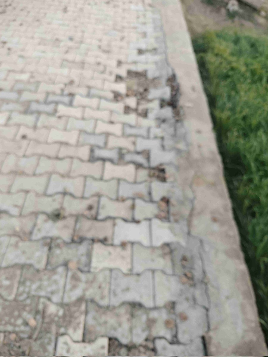SunderChhimpa4's tweet photo. @cmohry ठेकेदार द्वारा बनाई गई गली छह महीने बैठ गई गांव bhodia khera bishnonian teh Mandi Adampur में https://t.co/LBNH8bgLqt