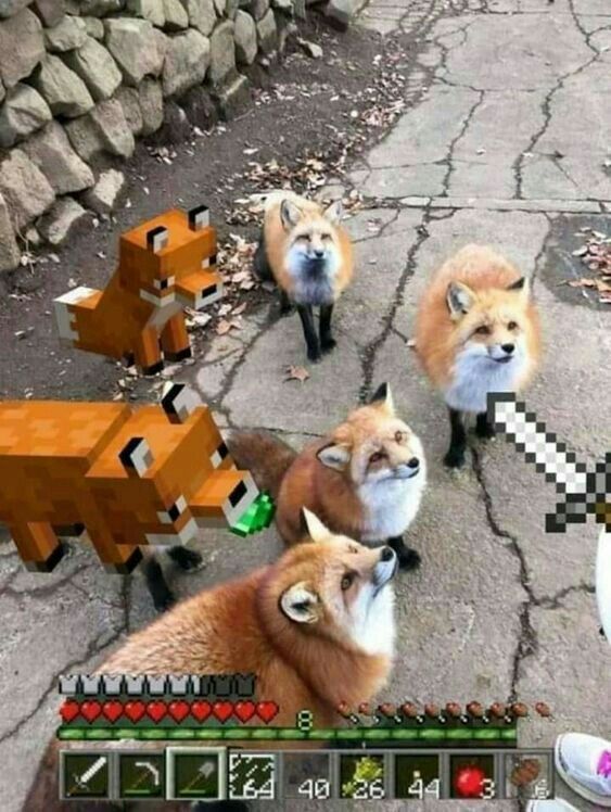 🍁 𝓣𝓱𝓮 𝓕𝓸𝔁 𝓛𝓲𝓯𝓮 🌾🦊 tweet media