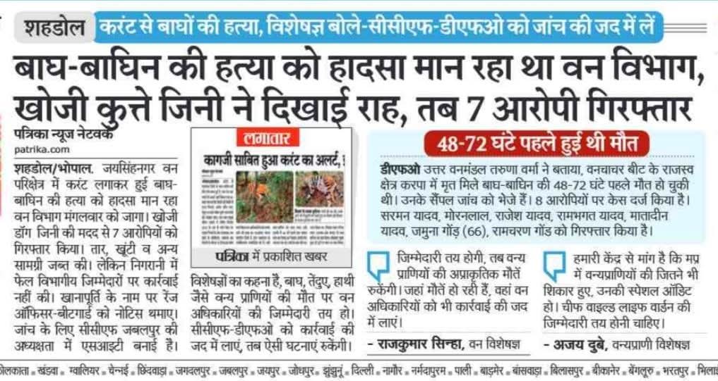 Ajay Dubey tweet media