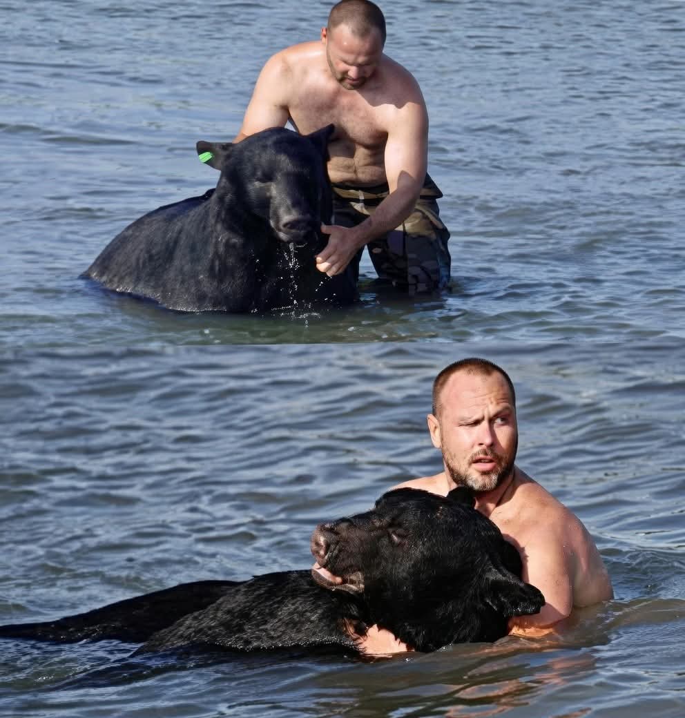 Crazy Vibes tweet media