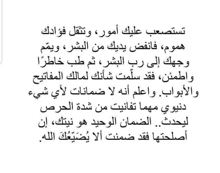 Nimeralassf (@alassafnimer) on Twitter photo 