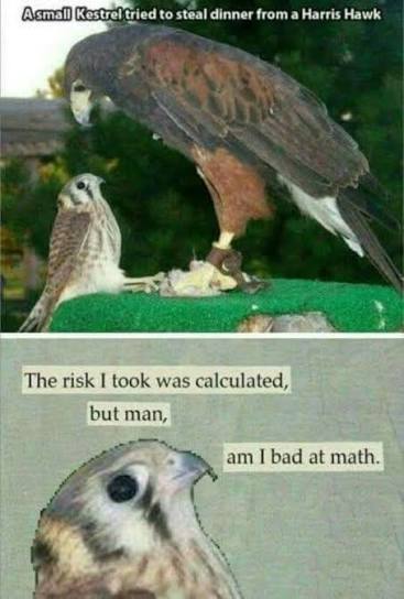 Arkticus (@arkticusgames) on Twitter photo 