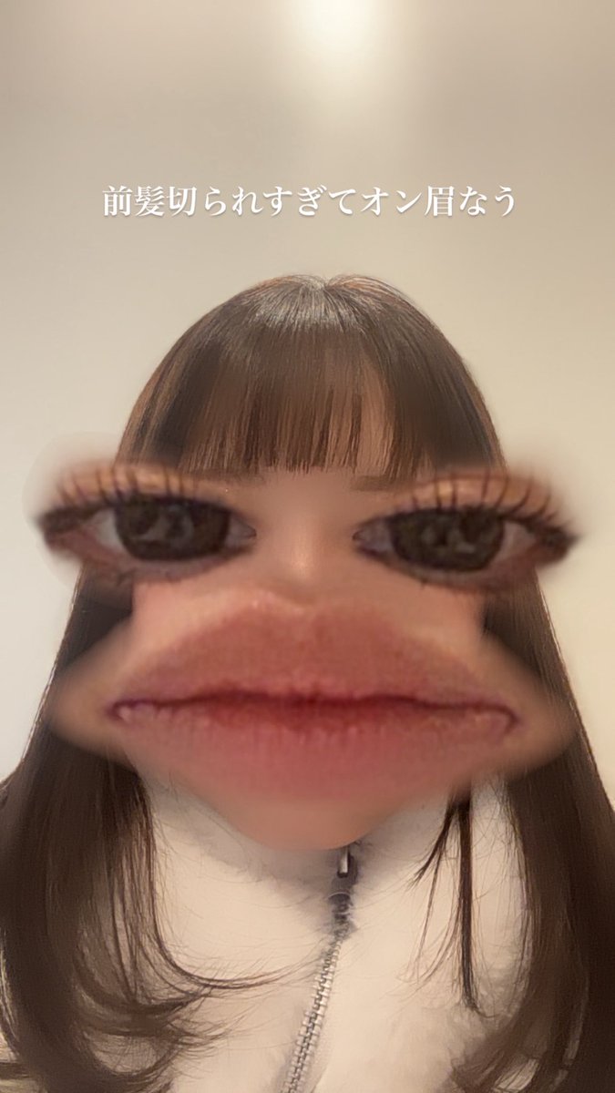 ᐢ•ω•ᐢ tweet media