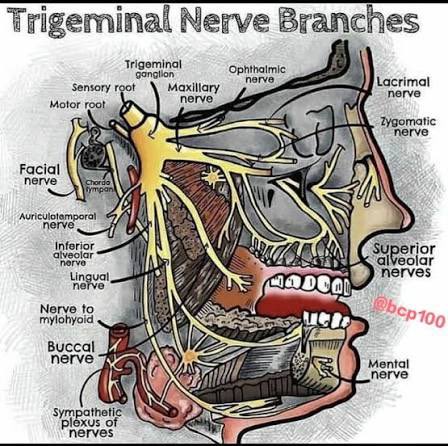 Patty Taylor tweet media