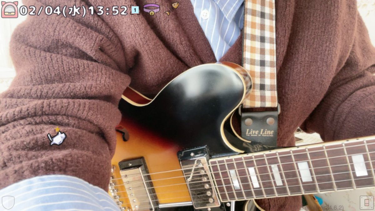 boro_1225's tweet photo. 向井。のギター配信 / ニコ生配信中 https://t.co/8Y2Gh3DPb7 https://t.co/QL5lGTrkoM
