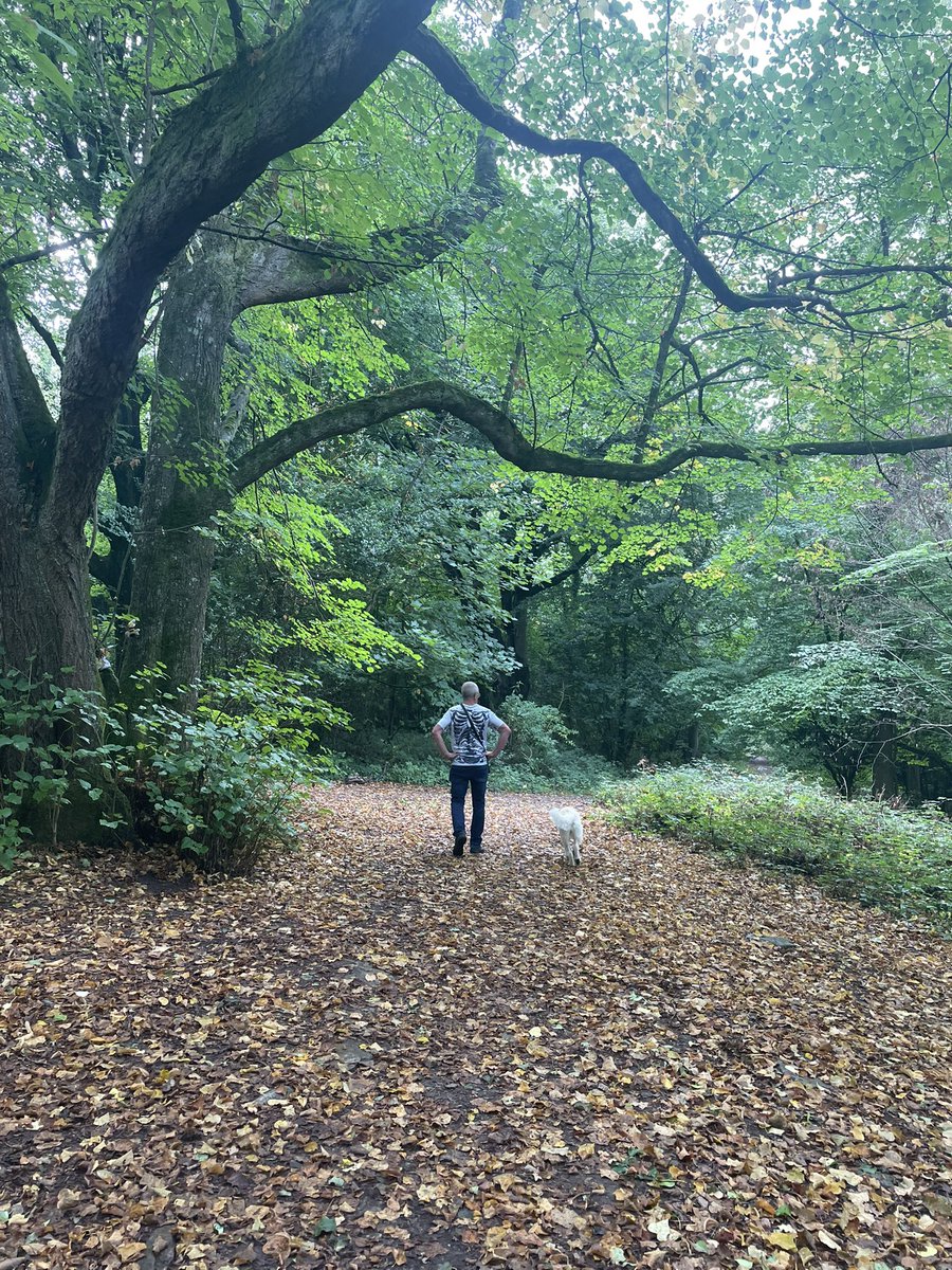 Patty Taylor tweet media