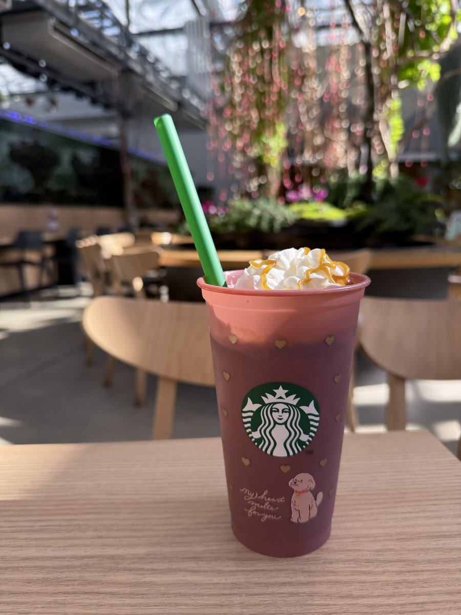 ホイップもりもりテンション上がる
いい大人なのに
今度胃カメラ飲んで精密検査なのに