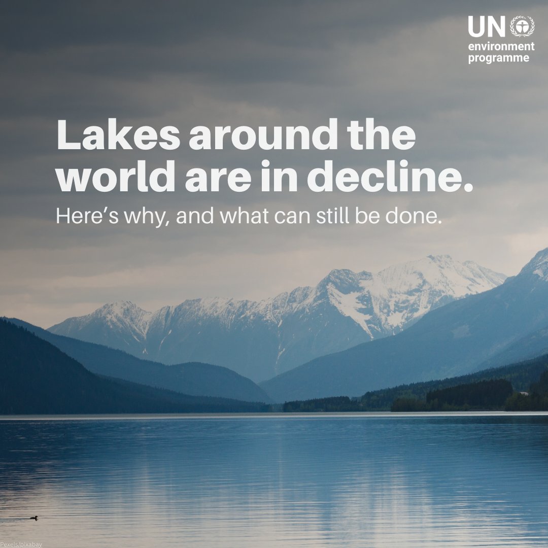 UNEP's tweet photo. Over 100 million lakes dot the planet, holding most of the world’s surface freshwater. But many are drying, flooding, turning green or vanishing.

What’s happening to one of Earth’s most vital ecosystems?

Explore what can still be done: https://t.co/N1Qwo8Jpvw https://t.co/JR25uSVGFc