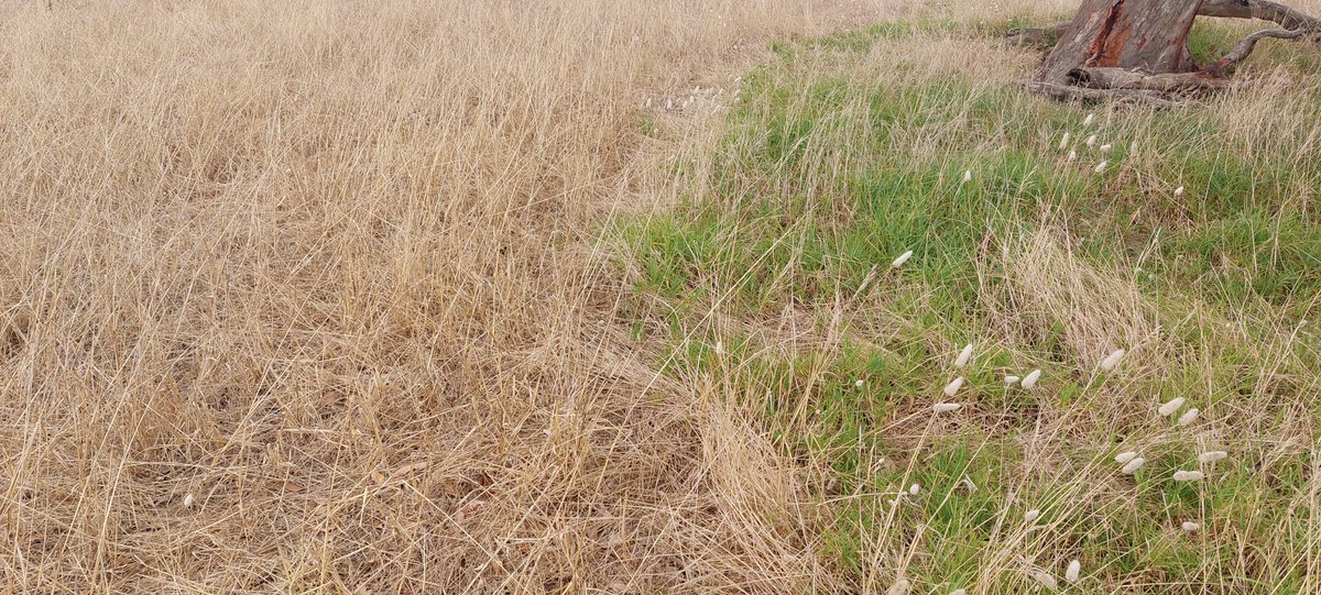 Brad Wooldridge tweet media