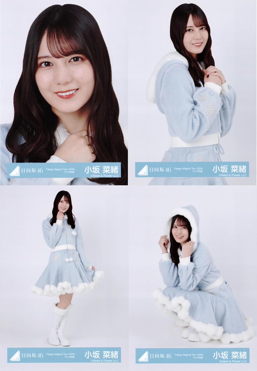日向坂46 生写真 「Happy Magical Tour 2024」サンタ衣装 4種コンプ
