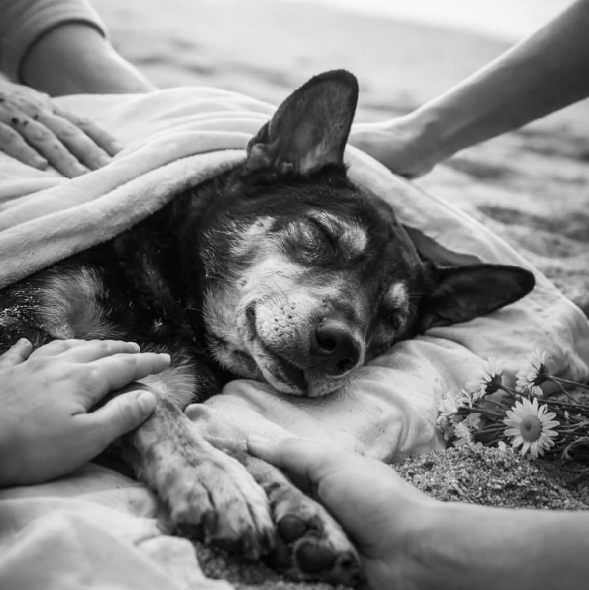 kaarolzx tweet media