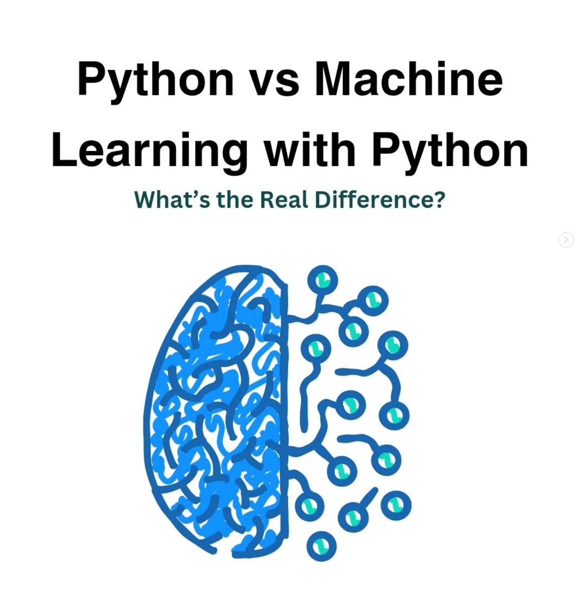 Python Developer tweet media