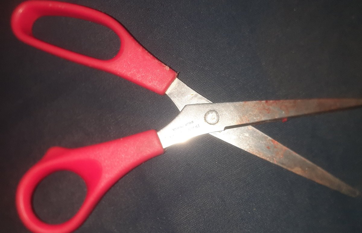 Fearcorpss's tweet photo. old scissors https://t.co/TMLn1j4a07