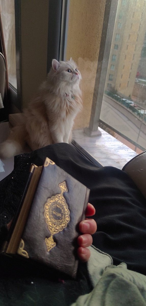 paradisecnnt_'s tweet photo. İnsanın içine ferahlık veren çok güzel bir cümle var;
#AllahVar https://t.co/u50D8Lx7dt