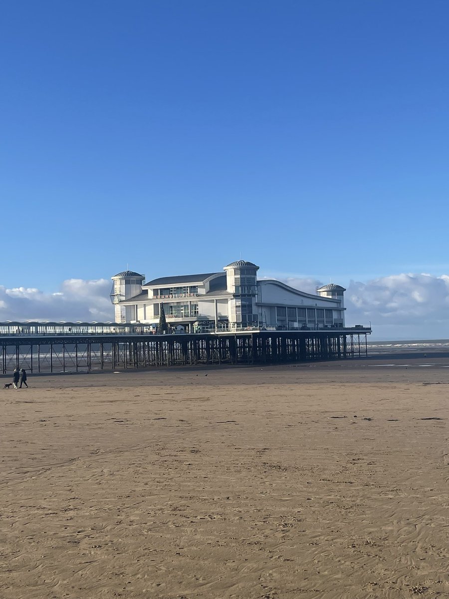 Patty Taylor tweet media