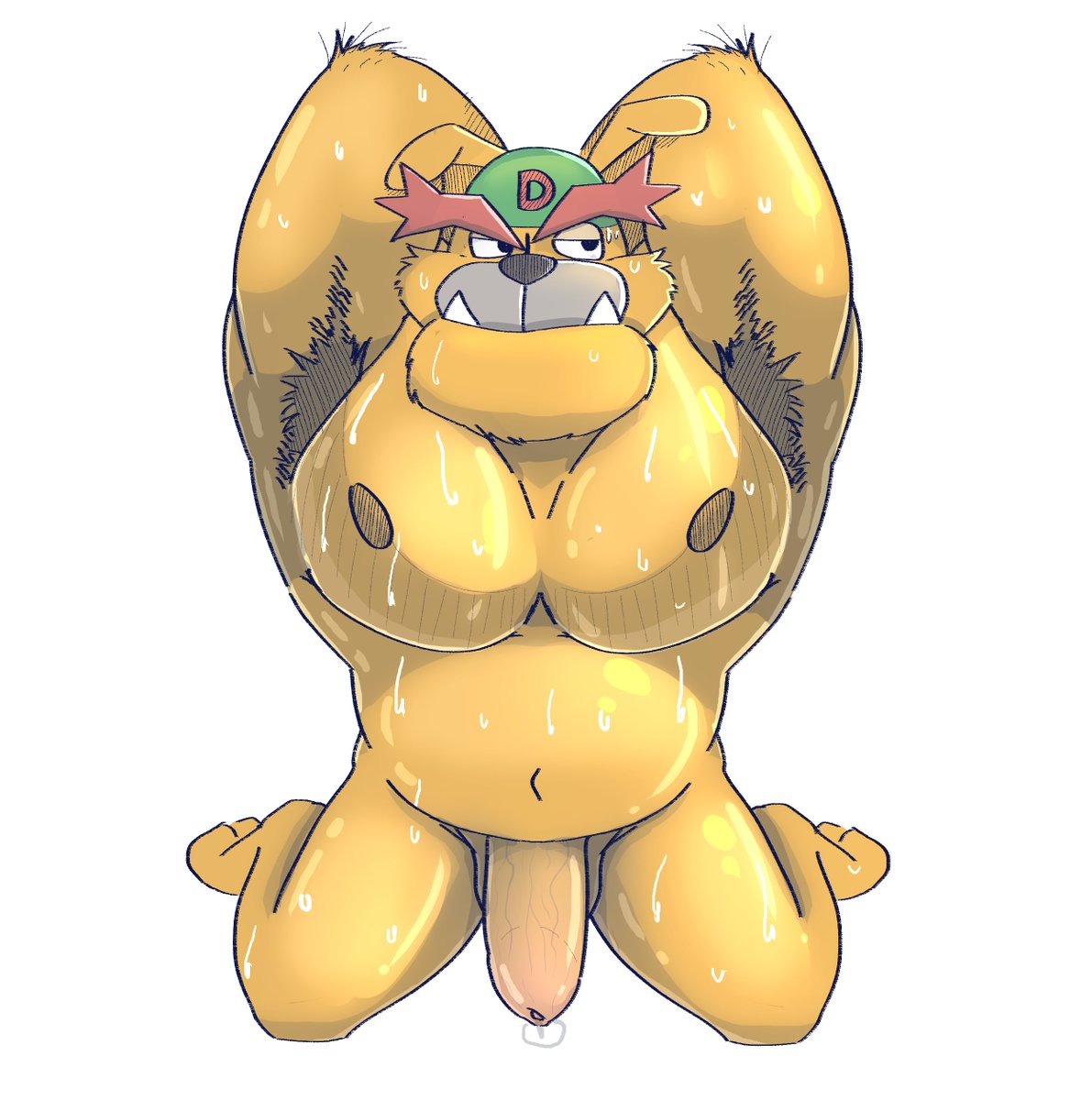 Jash 𓃽 tweet media