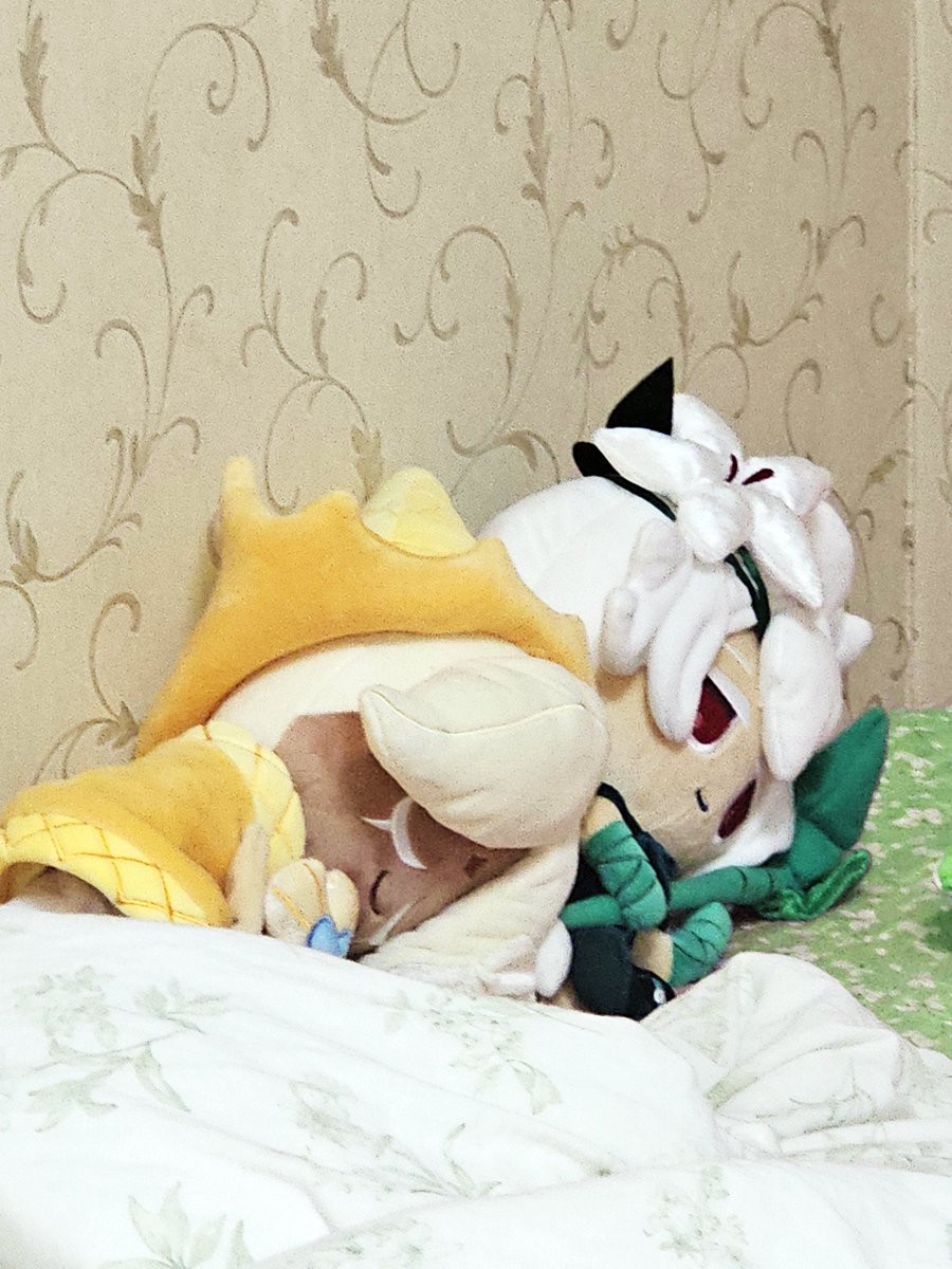 유토 (@lynn14124972) on Twitter photo 