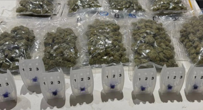 Woman held at Ahmedabad airport for smuggling ganja in chocolate packs