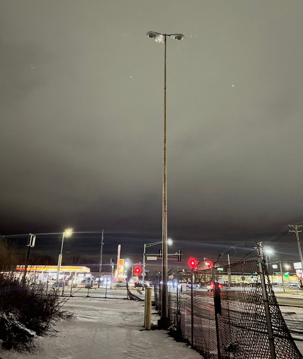 Chicago Bird Collision Monitors tweet media