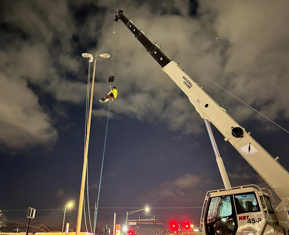Chicago Bird Collision Monitors tweet media