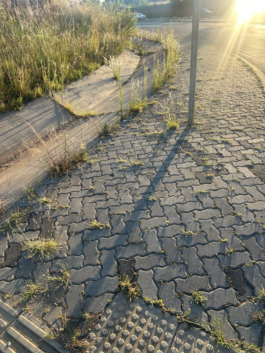 Obakeng COT MMC Environment Agriculture . tweet media