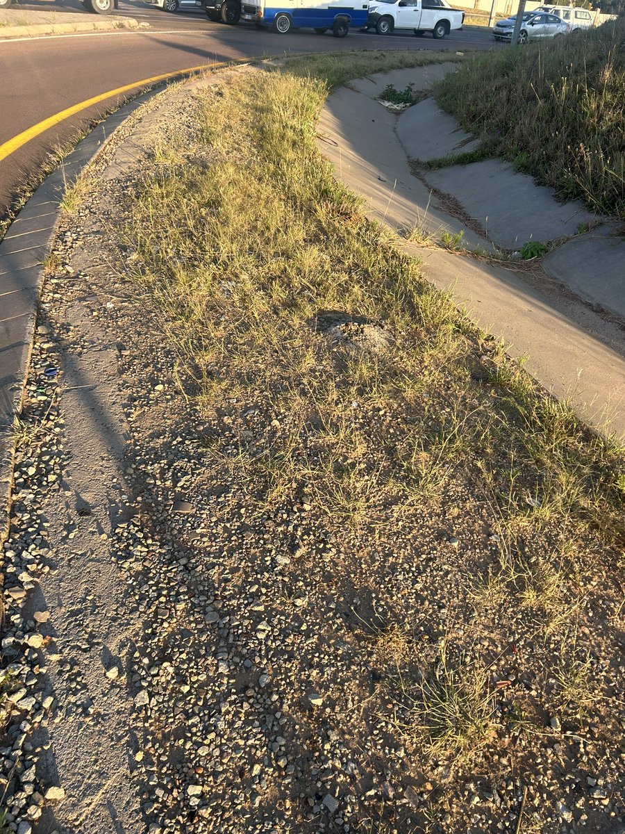 Obakeng COT MMC Environment Agriculture . tweet media