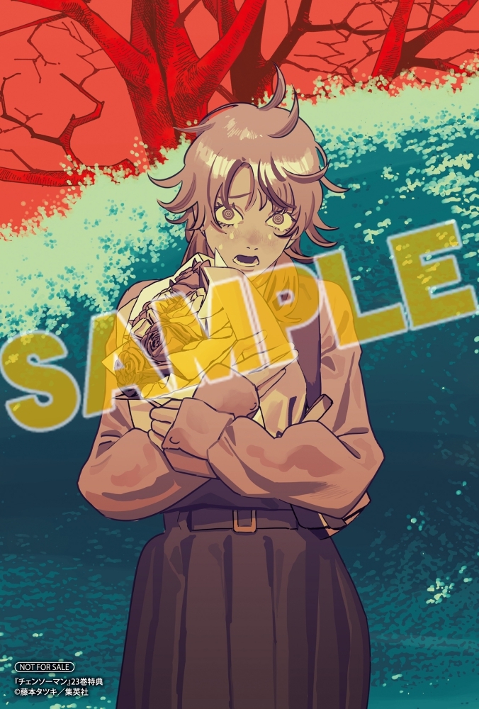 2026年2月4日発売予定 チェンソーマン 23巻 (ジャンプコミックス) 店舗