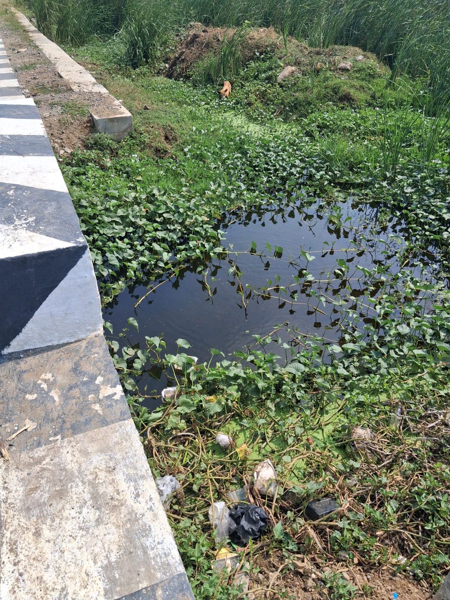 atishkb's tweet photo. @mkstalin Thanks for restoration of Navalur Lake.
Please resolve the long-standing issue of dirty water flow into nearby residential plots (OMR Gandhi Nagar). We
request immediate construction of proper drainage to prevent health risks. @chennaicorp ,@CMOTamilnadu https://t.co/9cuAcRAzh9