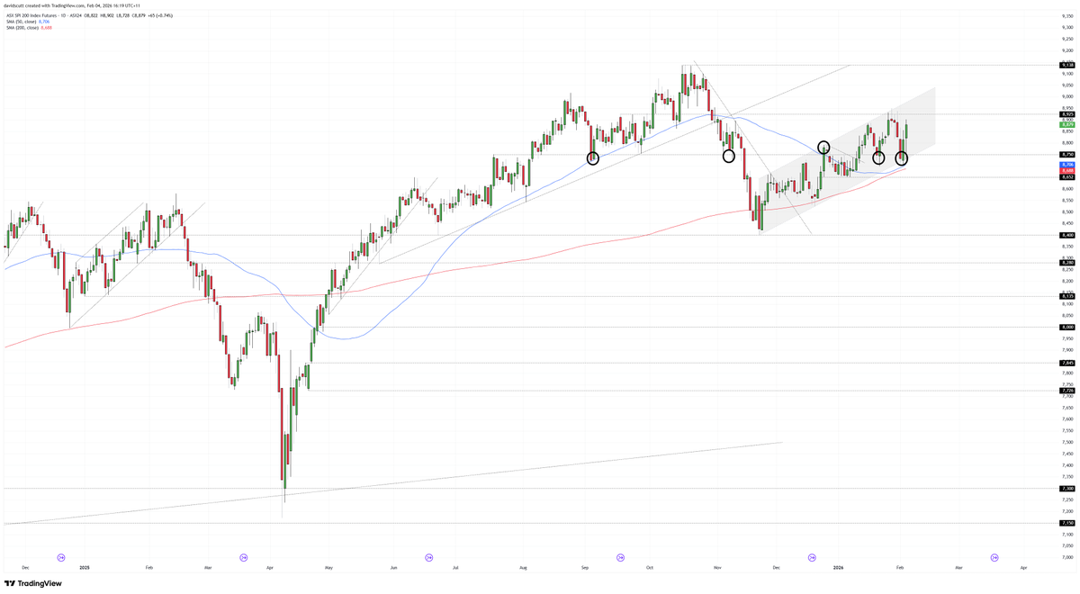 David Scutt tweet media