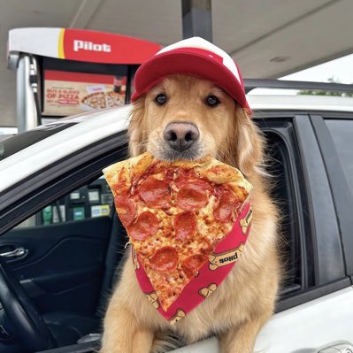pizzadawg (CoReY) tweet media