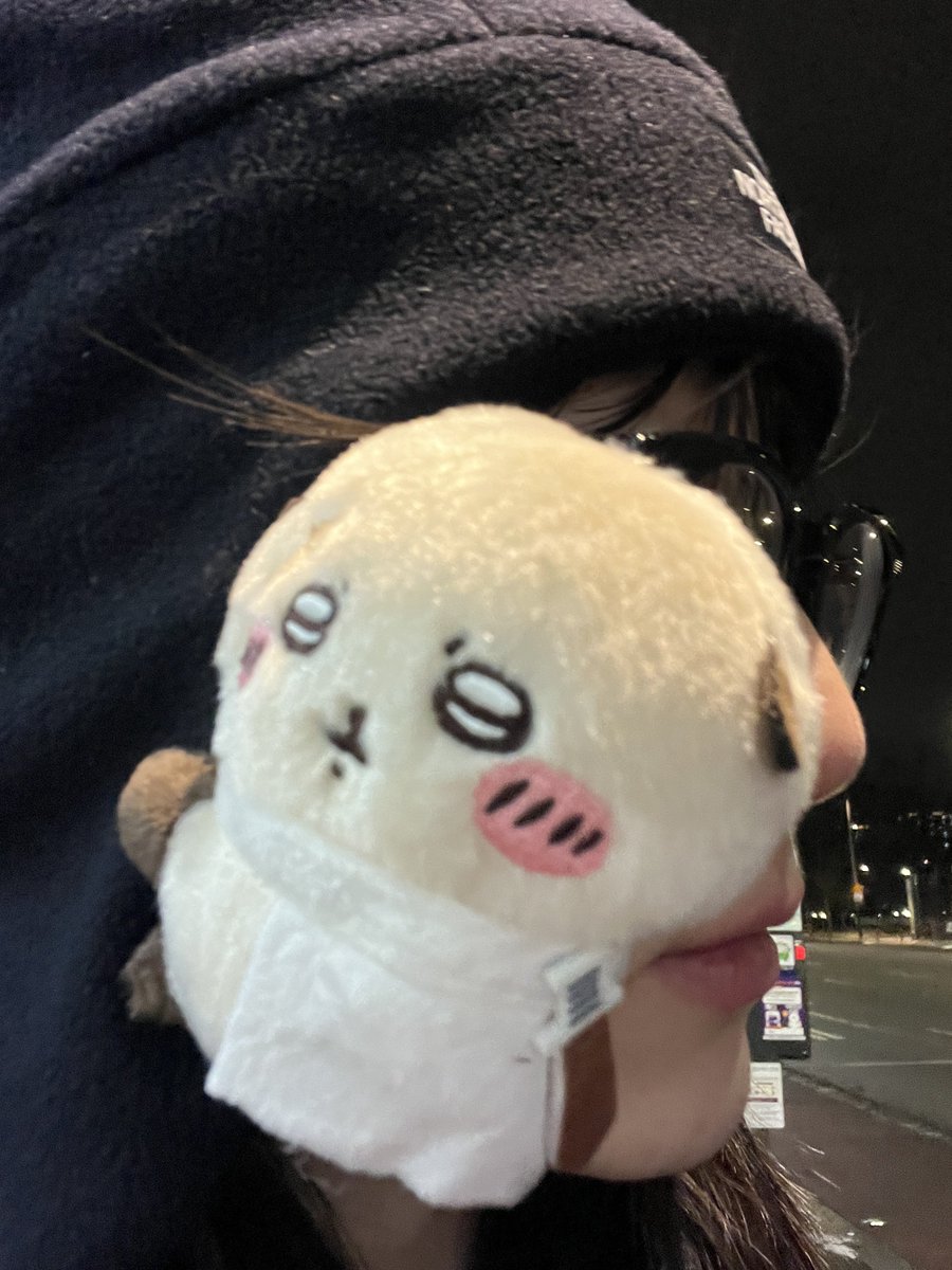 ๐ฏ๏ธ๐๐๐๐โจ tweet media