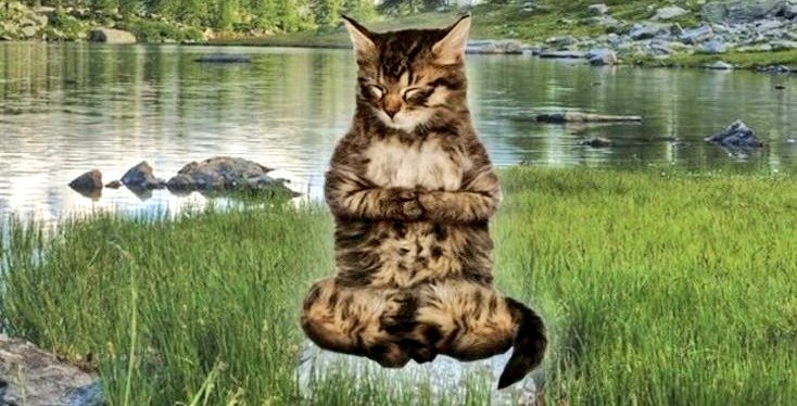 AYALVU's tweet image. é muito mijo se achando squirt.....