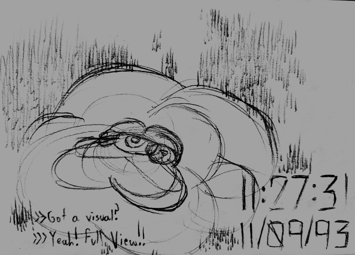 EdiotRando's tweet image. visual in forest

(doodle)