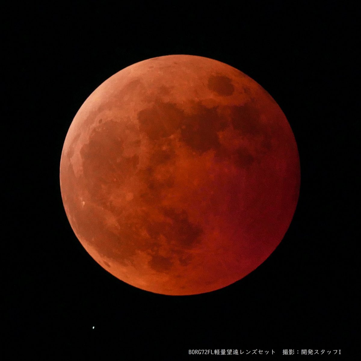 tomytec_borg's tweet photo. 2025年9月8日未明の
#BORG #72FL で撮影した #皆既月食 です。
来月3月3日の皆既月食に向けての準備はお済でしょうか。 https://t.co/jJnxjSXwQT