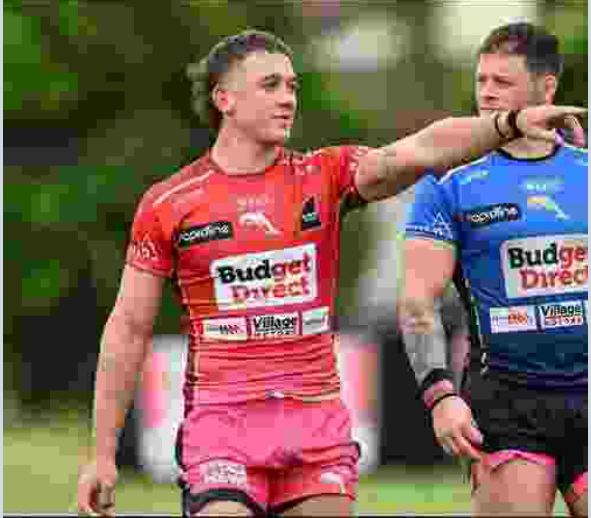 The Dole tweet media