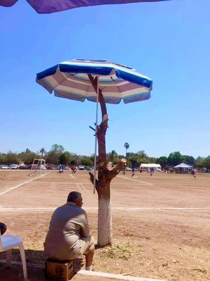 am_blive's tweet photo. This is what #moderndevelopment looks like.
.
.
.
.
#stopcuttingtrees #savetrees #saveforests #savewildlife #saveearth
.
@moefcc @DEFCCOfficial @environment @UNEP @guardianeco @sambhajinagarm @commr_csmc https://t.co/yVSUc67O0R