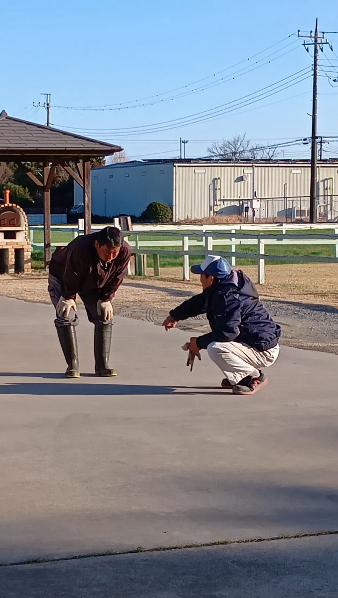 今日の朝の出来事です。
船橋競馬場へ配達を行っている社員の方々です。

朝から打ち合わせをし、ミスがないかすり合わせのお話をしていました(^▽^)/

とても仲の良いお二人でなんだかほっこりしました😊

寒いので風邪をひかないでくださいね～!!!

#中央牧草センター 
#生牧草 
#生産部
#配送部