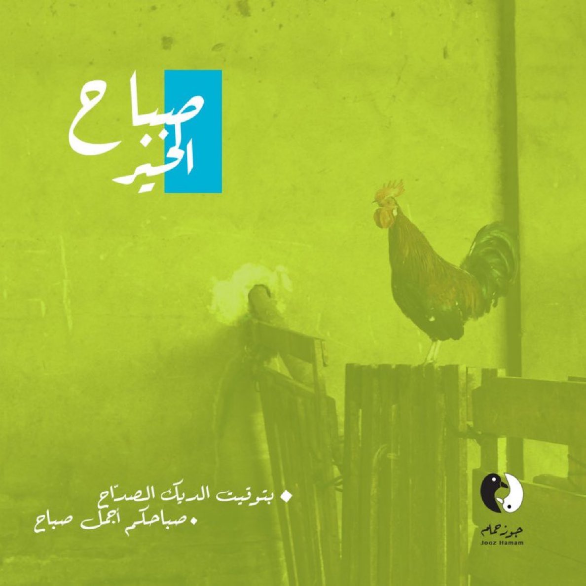 جوز حمام tweet media
