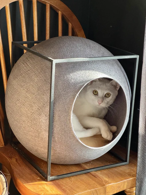 このねこちぐら、デザインが素晴らしい